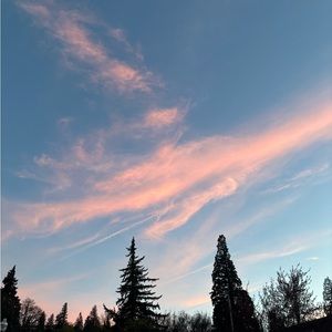 Meet your Posher, Sierra